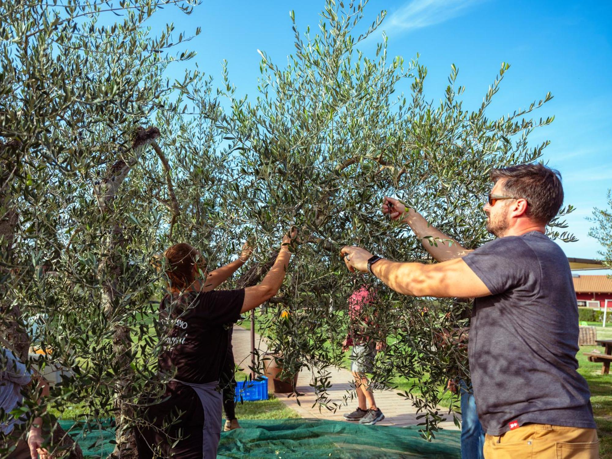 Agriturismo Pompilia Villamagna  Zewnętrze zdjęcie